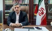 راه‌اندازی ۳۴ مزرعه الگویی کشاورزی در استان بوشهر