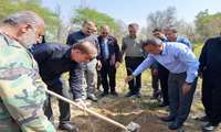 پویش سرو ایران در پارک جنگلی سرکره دشتستان